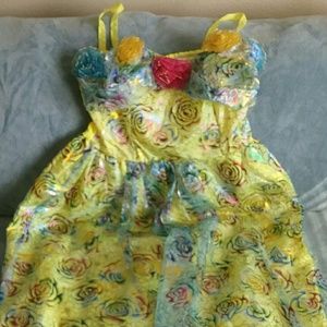 DRISELLA COSTUME XLarge 18-20